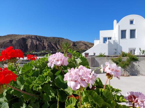 a bush of pink flowers in front of a building at Villas Scirocco in Fira