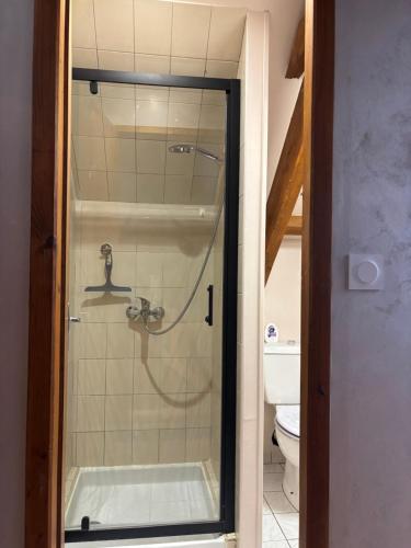 a glass shower in a bathroom with a toilet at Gîte Bellevue in Ossen