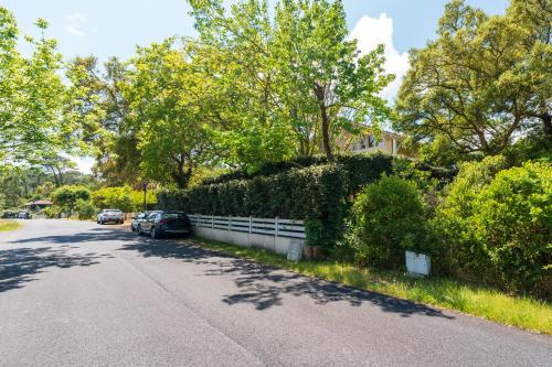 a street with cars parked next to a hedge at Dune Lodge 2- Capbreton Hossegor - in Capbreton