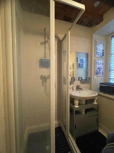 une salle de bain avec douche et lavabo dans l'établissement Le Cosy de Cryslor dans le vieux Chalon médiéval, à Chalon-sur-Saône