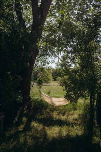 Gallery image of Glamping U Lesa in Rychnov nad Kněžnou