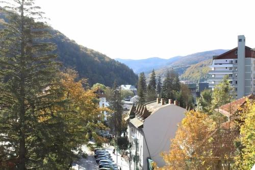 Central Park View Sinaia