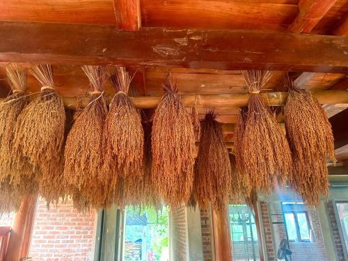 Gambar di galeri bagi Nếp homestay di Làng Xa
