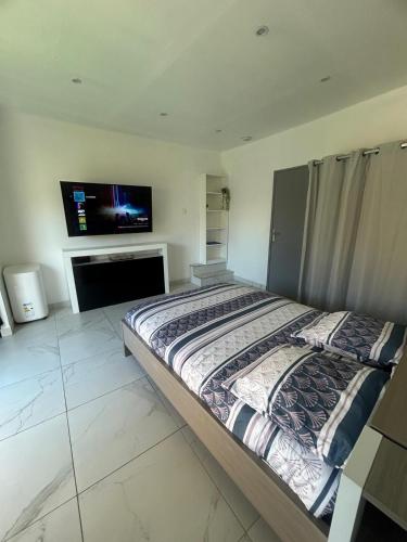 a bedroom with a bed and a flat screen tv at Studio en bas de villa in Arles