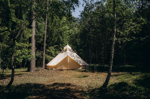 Příroda nedaleko luxury tent