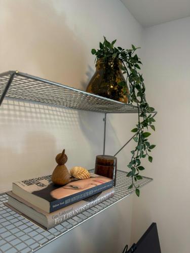 a shelf with books and a vase and a plant at Renovated Holiday Home With Sea View In Skåstrup in Bogense