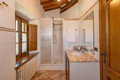 a bathroom with a shower and a sink at Podere le Rote in Castelnuovo di Val di Cecina