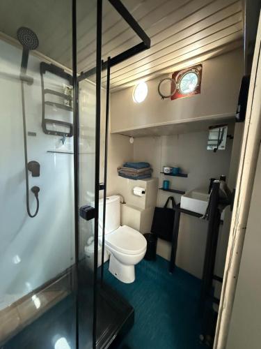 une petite salle de bain avec toilettes et douche dans l'établissement La cabine du capitaine, à Saint-Cloud