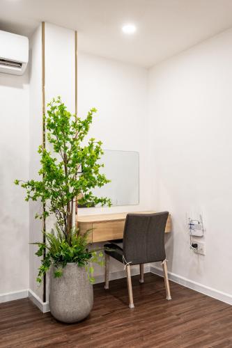 a desk with a chair and a tree in a room at A Boi Apartment at District 3 in Ho Chi Minh City