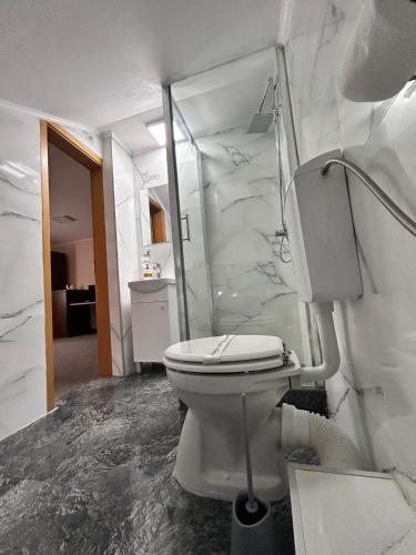 a white bathroom with a toilet and a shower at Pensiunea Luca in Baile Felix