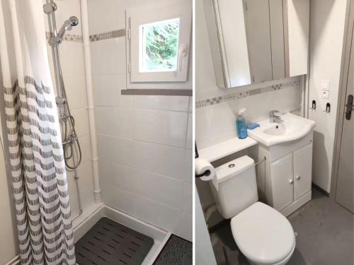 two pictures of a bathroom with a toilet and a sink at La Pause Bourboulienne Appartement RDC avec balcon in La Bourboule