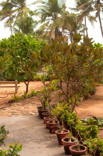 a row of potted plants sitting on a sidewalk at Santa Maria - A Premium Boutique Homestay by the Sea I Trivandrum Airport 1mile in Trivandrum