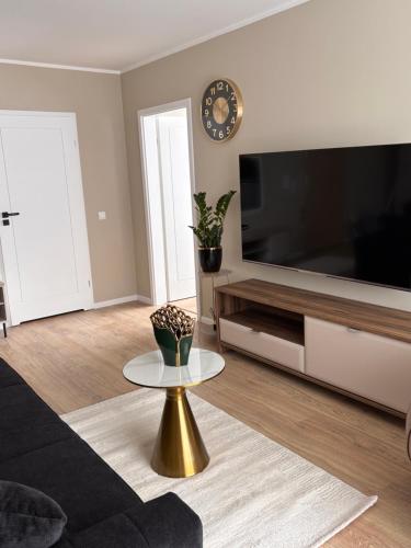 TV a/nebo společenská místnost v ubytování Apartament Symsar