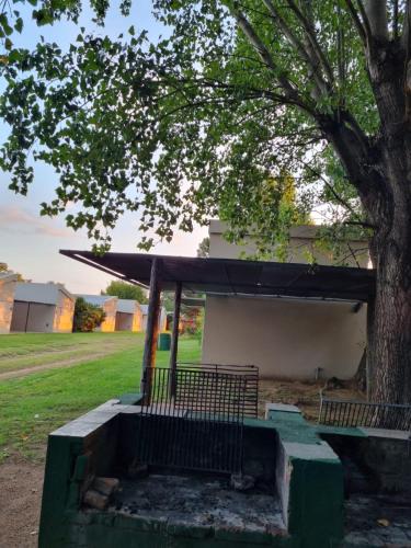 a bench under a tree in a park at Cabañas Posada del Sol in Junín