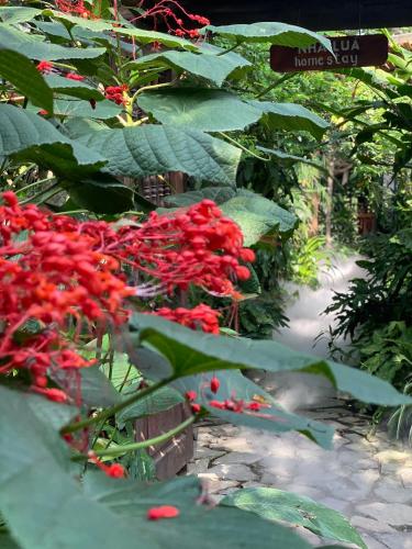 a bunch of red flowers in a garden at Nhà Lúa Homestay in Ninh Binh