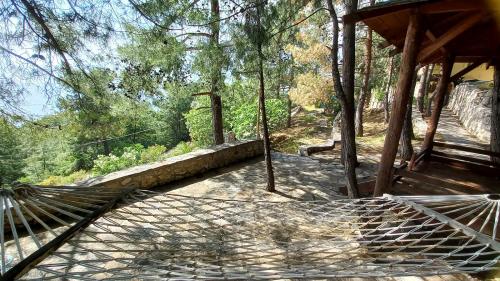 Landskap semula jadi dekat dengan vila ini