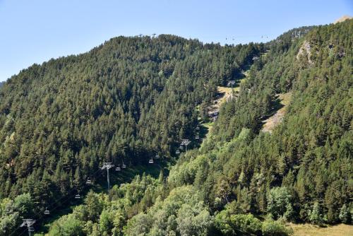 a mountain covered in trees with a road at NH Collection Andorra Palomé in La Massana