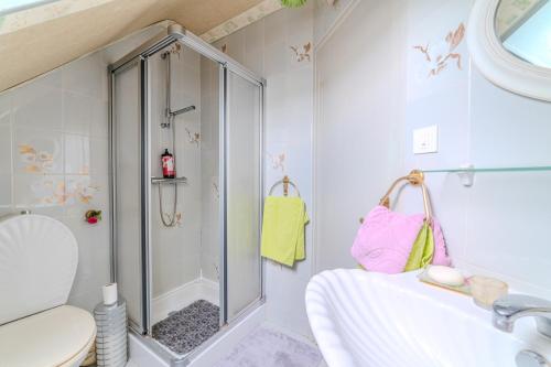 a bathroom with a shower and a toilet and a sink at Le Clos de Villecourt - Piscine Privée in Gueugnon