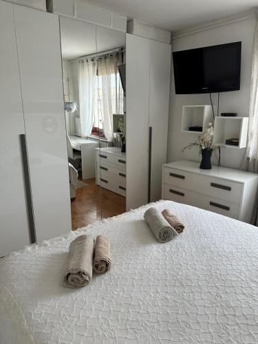 Tea Apartment near Arena
