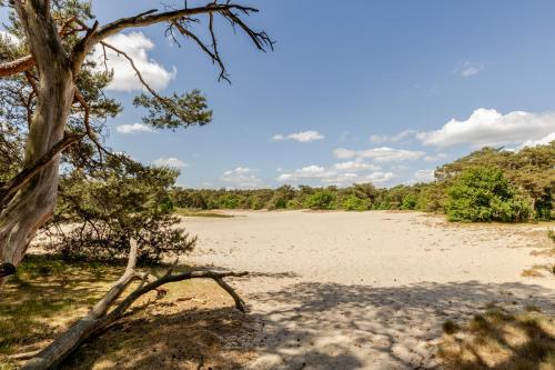 a beach with a tree in the foreground at Duin & Daal in Helvoirt