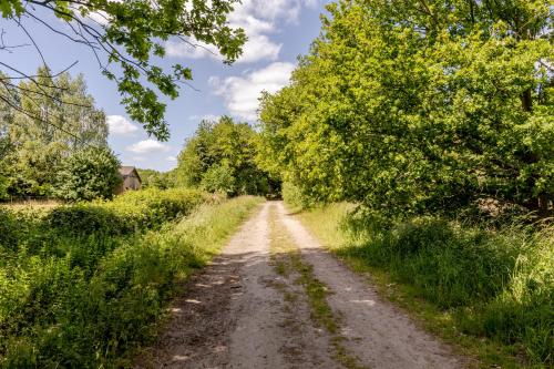a dirt road with trees on both sides at Duin & Daal in Helvoirt