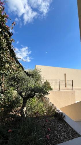 a small tree in front of a building at Whisky Green Coast Hotel & Apartments in Palasë