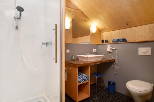 a bathroom with a sink and a toilet at Ferienhaus am Ried in Burgweiler