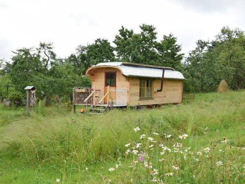 a small house in a field of grass at Ferienhaus am Ried in Burgweiler