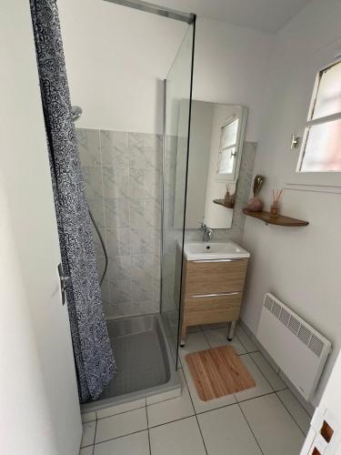une salle de bain avec douche et lavabo dans l'établissement Cozy home near Carcassonne, à Aragon