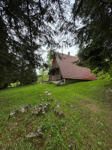 a house with a red roof in a field at Čarobna kućica in Mitrovac