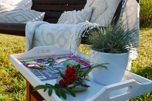 a table with a book and a potted plant on it at Domki Pod Jarzębiną Borsk in Borsk
