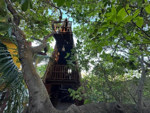 Φωτογραφία από το άλμπουμ του OccA Pipa - Cabana PicaPau σε Pipa