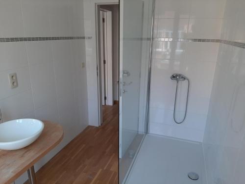 a bathroom with a shower and a sink at apartment Amsterdamstr 1st fl in Ostend
