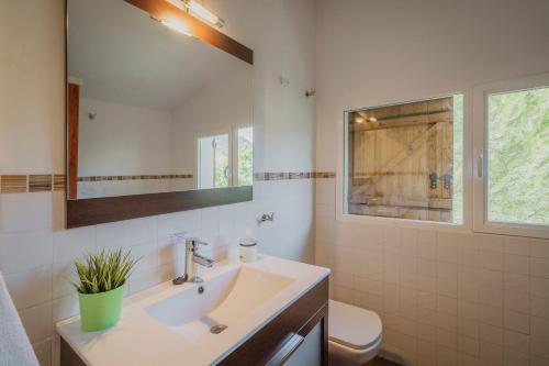 a bathroom with a sink and a toilet and a mirror at Villa Karina in Valdemanco