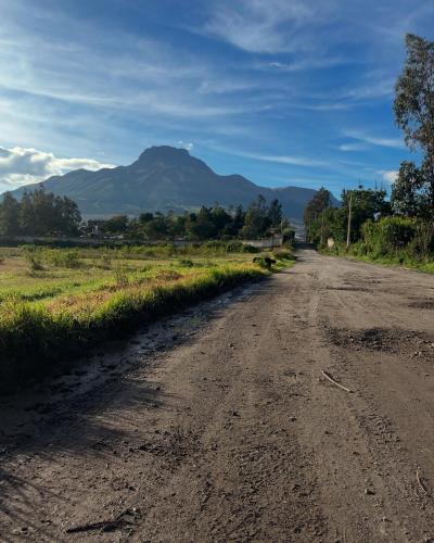 a dirt road with a mountain in the distance at Hoppy Alpaca in Cotacachi