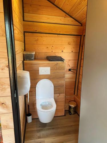 a small bathroom with a toilet and a sink at Hoogte Huisje Fantasie in Swalmen