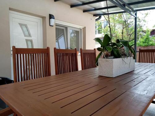 a wooden table with a potted plant on a patio at Borostyán Vendégház Eger in Eger