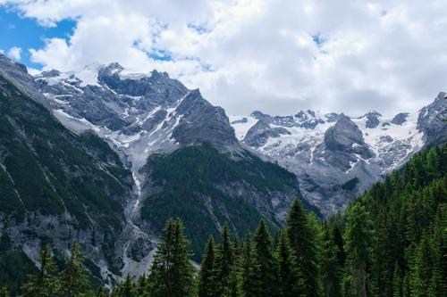 a view of a snowy mountain range with trees at HOTIDAY Bormio Apartments in Bormio