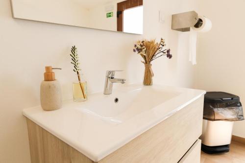 a bathroom with a white sink and a mirror at QUINTA das OLIVEIRAS COUNTRY HOUSE in Marinhais