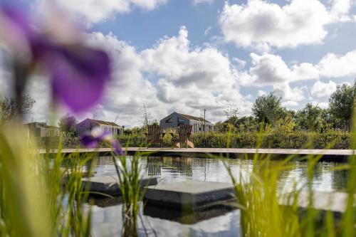 ヴェストカペレにあるHello Zeeland - Tiny House Zeeuwse Liefde 16の家と花のある池の景色