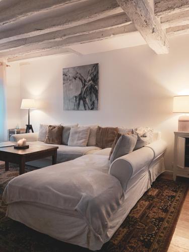 un salon avec un canapé et une table dans l'établissement La Maison Gabriac, à Boissise-la-Bertrand