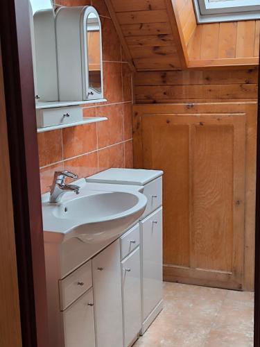 a bathroom with a sink and a mirror at Lydiana Ubytování in Vysoké Mýto