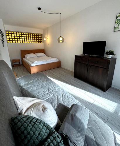 a bedroom with a bed and a tv and a couch at Perła in Stegna