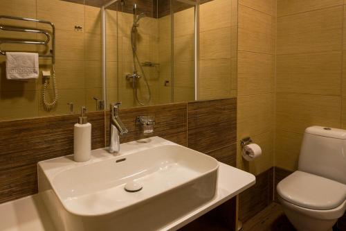 a bathroom with a sink and a toilet at Agneta Apartamentai in Druskininkai