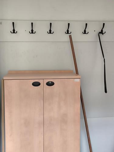 a wooden cabinet with black hooks on the wall at Lydiana Ubytování in Vysoké Mýto