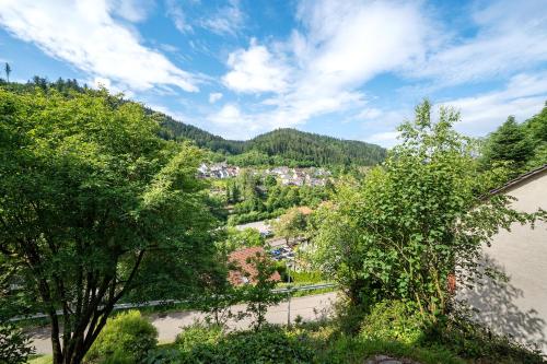 a view of a town next to a river at Ferienwohnung Am Lehen Schiltach in Schiltach