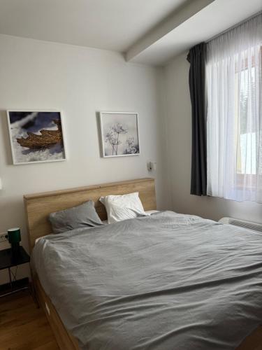 a large bed in a bedroom with a window at Apartman Vila Jaram, Kopaonik in Kopaonik