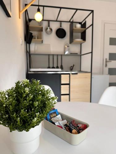 a table with a container of food and a potted plant at Perła in Stegna