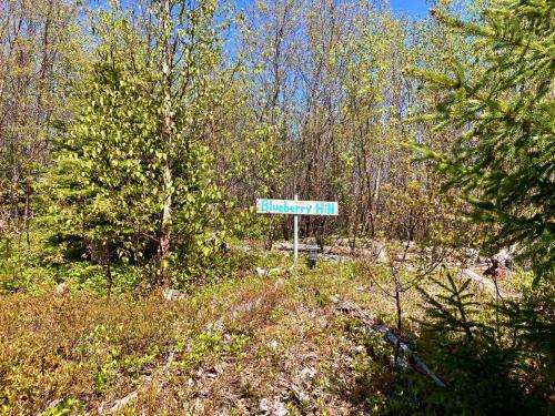 a street sign in the middle of a forest at The Snuggy - NEW! Oceanview - Private - Eco-Lux - King Bed - Adults Only! in Ingonish Beach