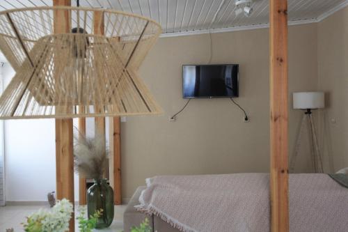 TV a/nebo společenská místnost v ubytování LAXD Summer House